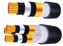 Cáp điện lực hạ thế 1-4 lõi ruột đồng cách điện XLPE vỏ PVC giáp bảo vệ 1 lớp kim loại CXV WA 600 1000 V