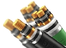 Cáp điện lực hạ thế 1-4 lõi ruột đồng cách điện XLPE giáp 2 lớp băng kim loại vỏ PVC CXV-DTA 600-1000 V