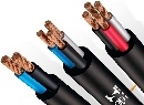Cáp điện lực hạ thế 1-4 lõi ruột đồng cách điện XLPE vỏ HDPE-CXE 600-1000 V