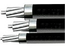 Dây điện lực hạ thế AV