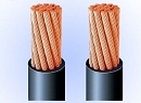 Dây điện lực hạ thế không vỏ ruột đồng cách điện XLPE-CX 600-1000 V